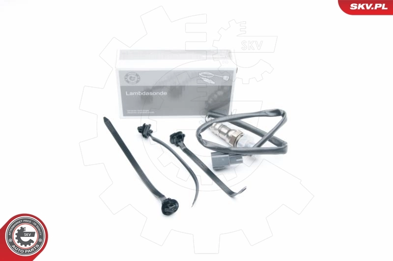 Oxygen Sensor